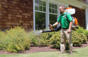 Mosquito Joe of Eastern NC technician spraying bushes out of a home. 